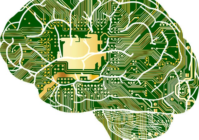 Avanços nas tecnologias de decodificação da mente aumentam esperanças (e preocupações)